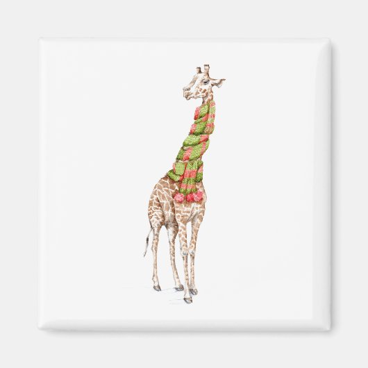 Giraffe in einem Scarf Magnet (Vorne)