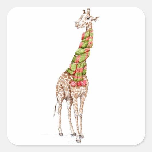 Giraffe in einem Scarf Quadratischer Aufkleber (Vorderseite)