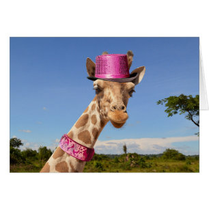 Giraffe in funkelnd-rosa Hut