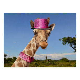 Giraffe in funkelnd-rosa Hut Poster