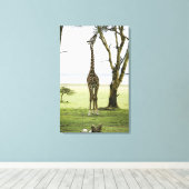 Giraffe in Kenia, Afrika Leinwanddruck (Insitu (Holzboden))