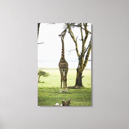 Giraffe in Kenia, Afrika Leinwanddruck (Vorderseite)