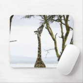 Giraffe in Kenia, Afrika Mousepad (Mit Mouse)