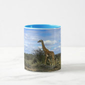 GIRAFFE IN KENIA AFRIKA TASSE (Zentrum)