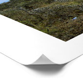 GIRAFFE IN KENYA AFRIKA POSTER (Ecke)