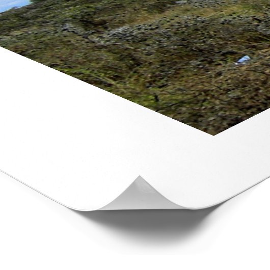 GIRAFFE IN KENYA AFRIKA POSTER (Ecke)