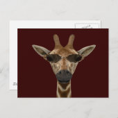 Giraffe Incognito Postkarte (Vorne/Hinten)