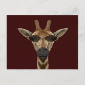 Giraffe Incognito Postkarte (Vorderseite)