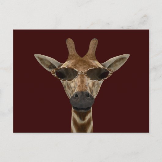 Giraffe Incognito Postkarte (Vorderseite)