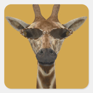 Giraffe inkognito quadratischer aufkleber