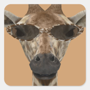 Giraffe inkognito quadratischer aufkleber