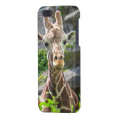 Giraffe iPhone Hülle (Rückseite links)