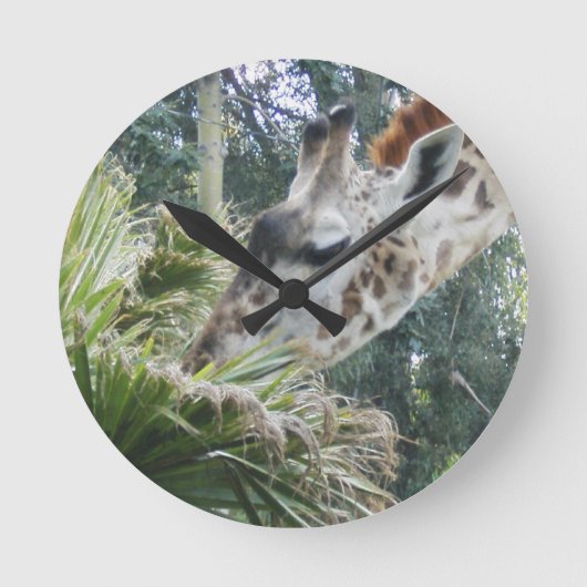 Giraffe isst die Uhr des Mittagessens (Vorderseite)