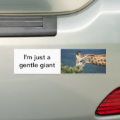 Giraffe isst einige Blätter Autoaufkleber (Auf Auto)
