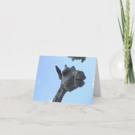 Giraffe Karte