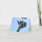 Giraffe Karte (Vorderseite)