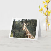 Giraffe Karte (Gelbe Blume)