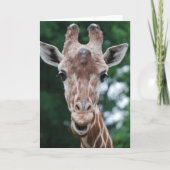 Giraffe Karte (Vorderseite)