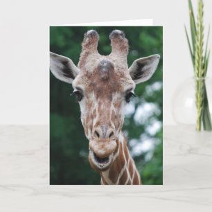 giraffe karte
