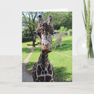 Giraffe Karte