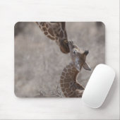 Giraffe, Kenia, Afrika Mousepad (Mit Mouse)