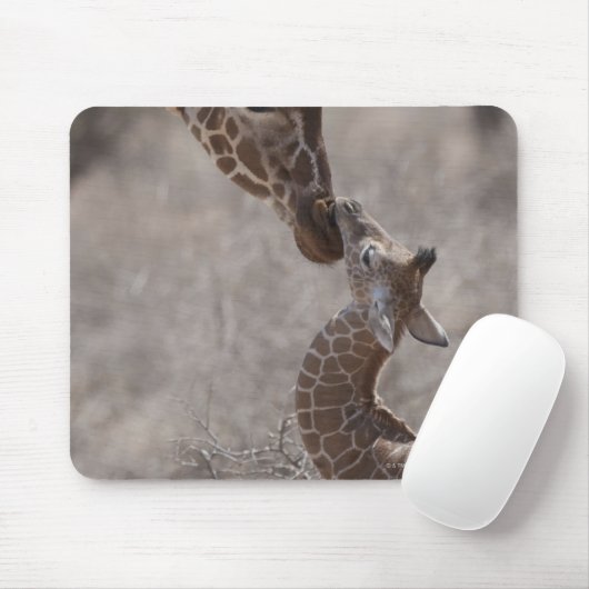 Giraffe, Kenia, Afrika Mousepad (Mit Mouse)