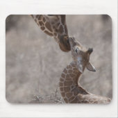 Giraffe, Kenia, Afrika Mousepad (Vorne)