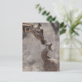 Giraffe, Kenia, Afrika Postkarte (Stehend Vorderseite)