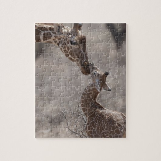 Giraffe, Kenia, Afrika Puzzle (Vertikal)