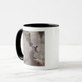 Giraffe, Kenia, Afrika Tasse (Vorderseite Links)