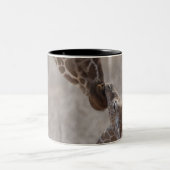 Giraffe, Kenia, Afrika Zweifarbige Tasse (Mittel)