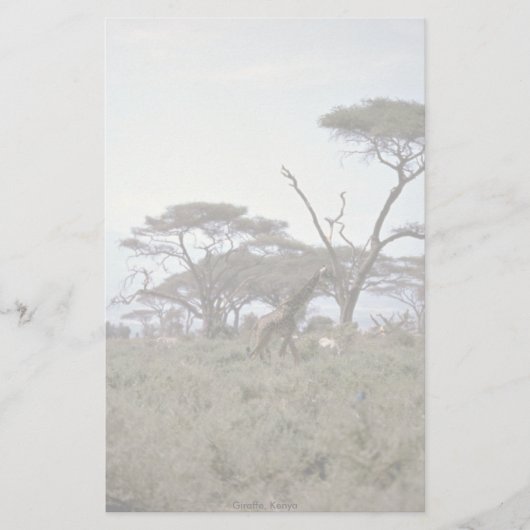 Giraffe, Kenia Briefpapier (Vorderseite)