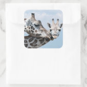 Giraffe Kisses Ihr Calf Quadratischer Aufkleber (Tasche)