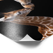 Giraffe Kisses Print Fotodruck (Ecke)