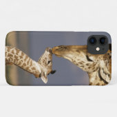 Giraffe Kissing Baby Giraffe Case-Mate iPhone Hülle (Rückseite (Horizontal))