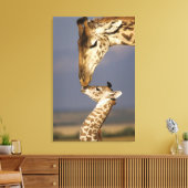 Giraffe Kissing Baby Giraffe Leinwanddruck (Insitu (Wohnzimmer))