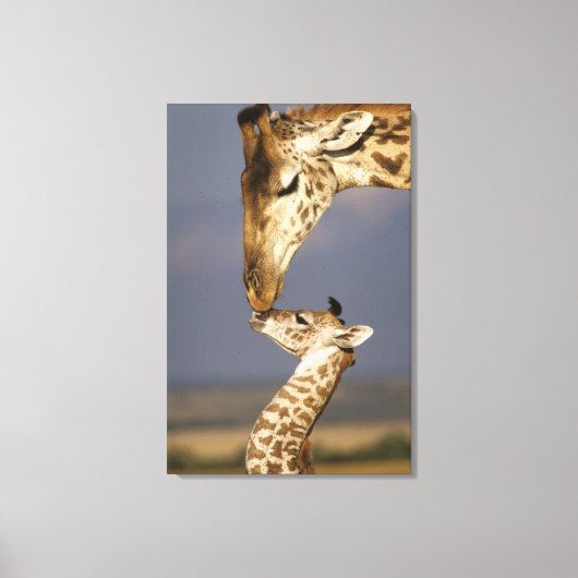 Giraffe Kissing Baby Giraffe Leinwanddruck (Vorderseite)
