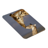 Giraffe Kissing Baby Giraffe Magnet (Rechte Seite)