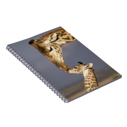 Giraffe Kissing Baby Giraffe Notizblock (Rechte Seite)