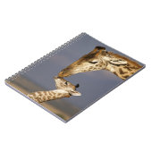 Giraffe Kissing Baby Giraffe Notizblock (Linke Seite)