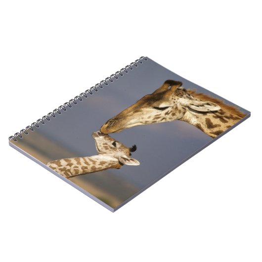 Giraffe Kissing Baby Giraffe Notizblock (Linke Seite)