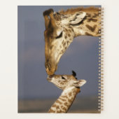 Giraffe Kissing Baby Giraffe Planer (Rückseite)