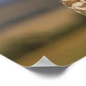 Giraffe Kissing Baby Giraffe Poster (Ecke)