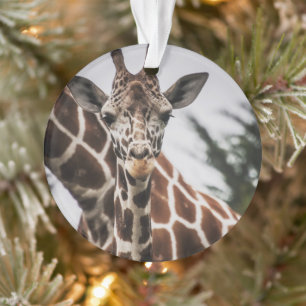 Giraffe, Kopf Giraffe, Pelzabdruck Afrikanisches T Ornament