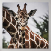 Giraffe, Kopf Giraffe, Pelzabdruck Afrikanisches T Poster (Vorne)
