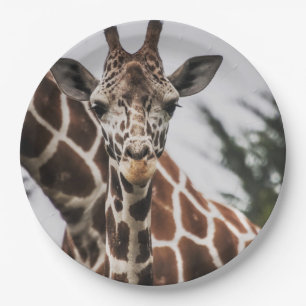 Giraffe Kopf Giraffe Pelzprint Afrikanisches Tier Pappteller