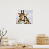 Giraffe, Krüger-Nationalpark, Südafrika Poster (Küche)