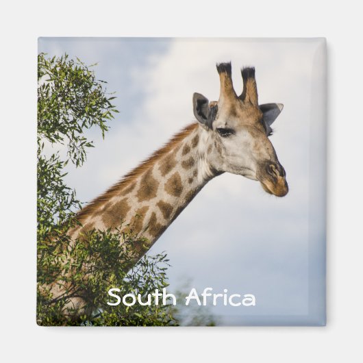 Giraffe Kühlschrankmagnet - Südafrika (Vorne)