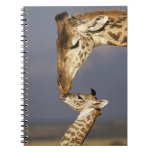 Giraffe küssen Baby-Giraffe Notizblock