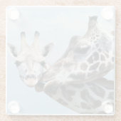Giraffe küsst ihr Kalb Glasuntersetzer (Rückseite)